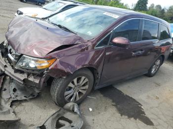  Salvage Honda Odyssey