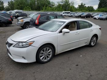  Salvage Lexus Es