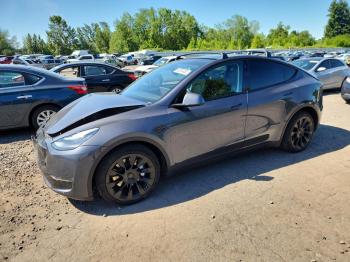  Salvage Tesla Model Y