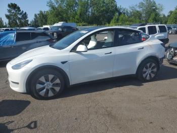  Salvage Tesla Model Y