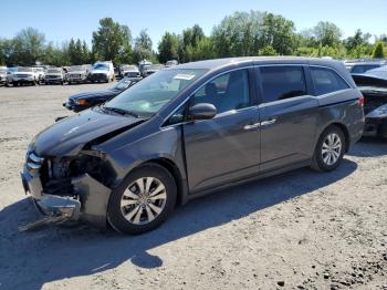  Salvage Honda Odyssey