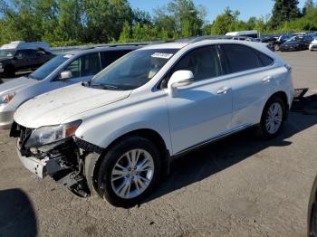  Salvage Lexus RX