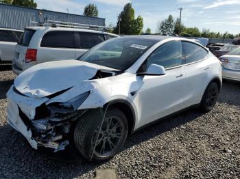  Salvage Tesla Model Y