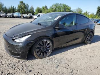  Salvage Tesla Model Y