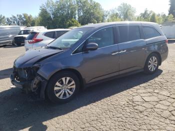  Salvage Honda Odyssey