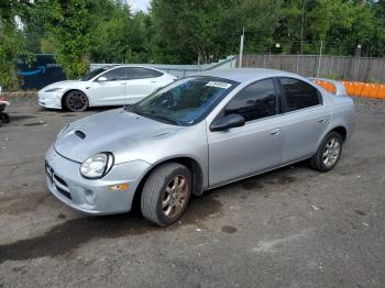  Salvage Dodge Neon