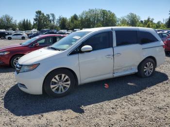 Salvage Honda Odyssey