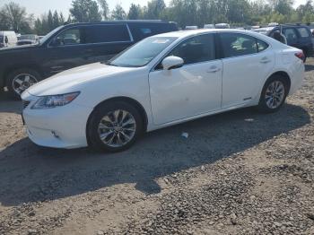  Salvage Lexus Es