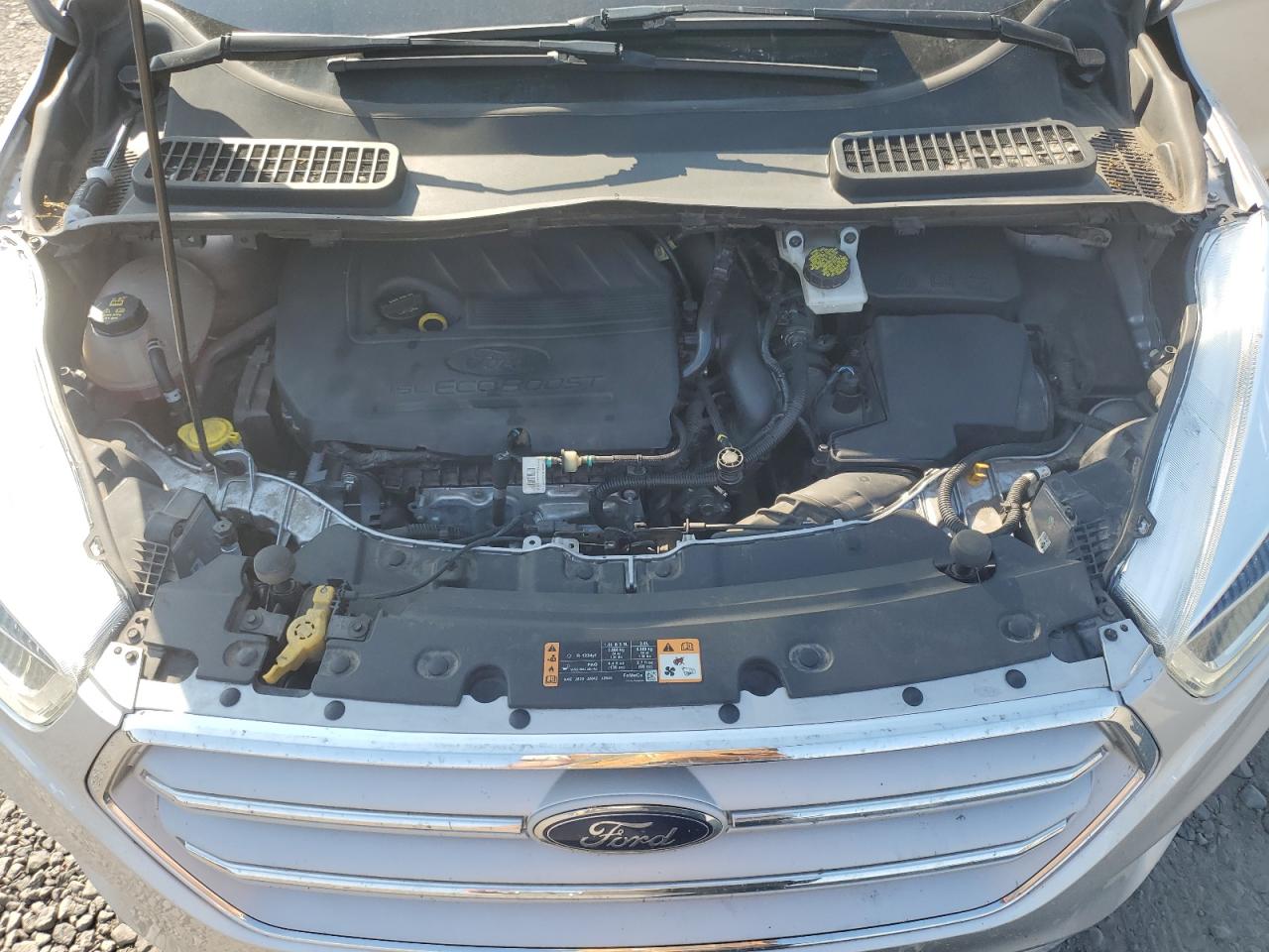 Ford Escape Sel Image 8