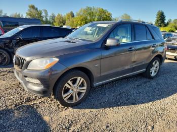  Salvage Mercedes-Benz M-Class