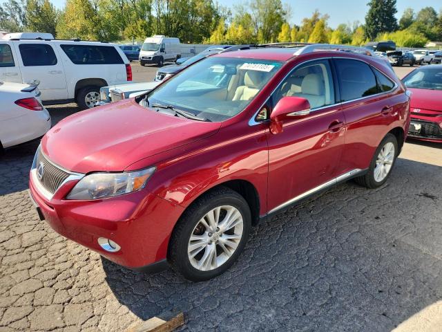  Salvage Lexus RX