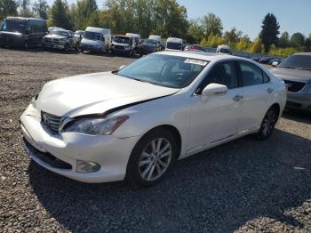  Salvage Lexus Es