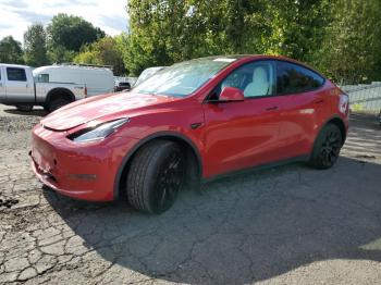  Salvage Tesla Model Y