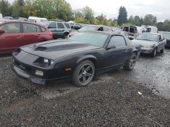  Salvage Chevrolet Camaro