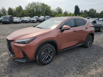  Salvage Lexus NX