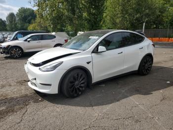  Salvage Tesla Model Y