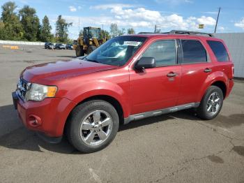  Salvage Ford Escape