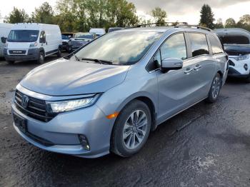  Salvage Honda Odyssey