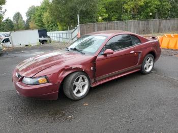  Salvage Ford Mustang