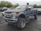 Ford F-250 Super Duty Image 1