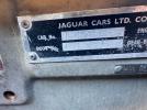 Jaguar Etype Image 10