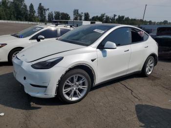  Salvage Tesla Model Y