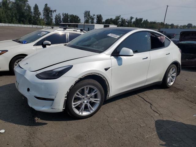  Salvage Tesla Model Y