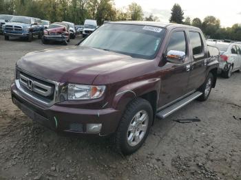  Salvage Honda Ridgeline