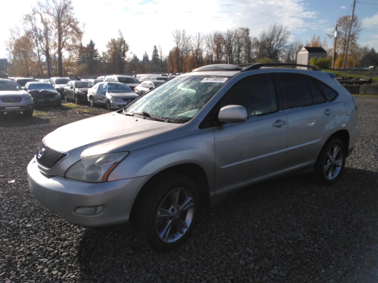 Lexus RX 330 Image 1