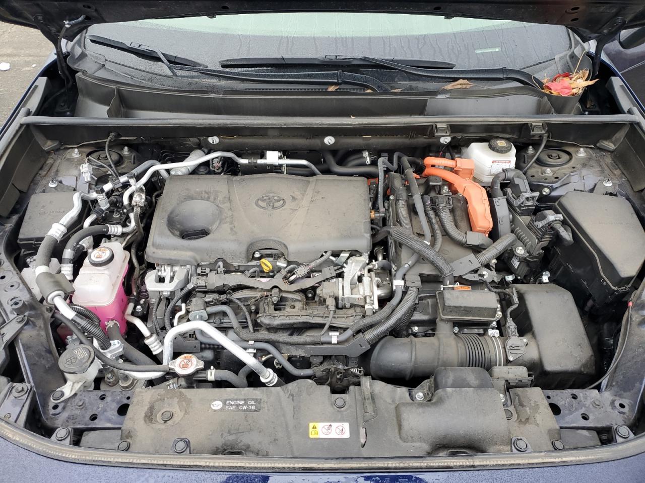 Toyota RAV4 Se Image 11