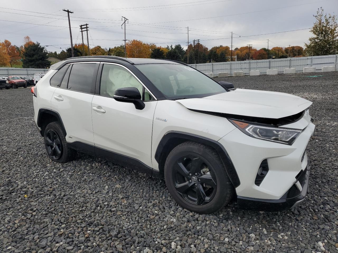 Toyota RAV4 Xse Image 4