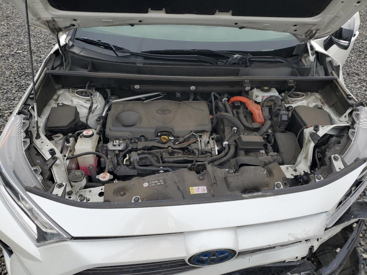 Toyota RAV4 Xse Image 10