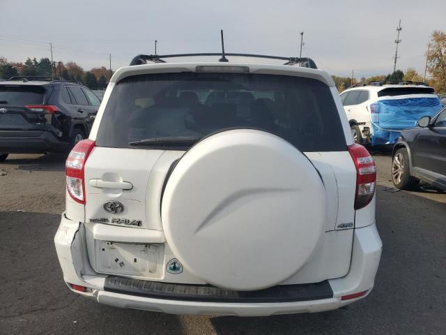 Toyota RAV4 Image 10