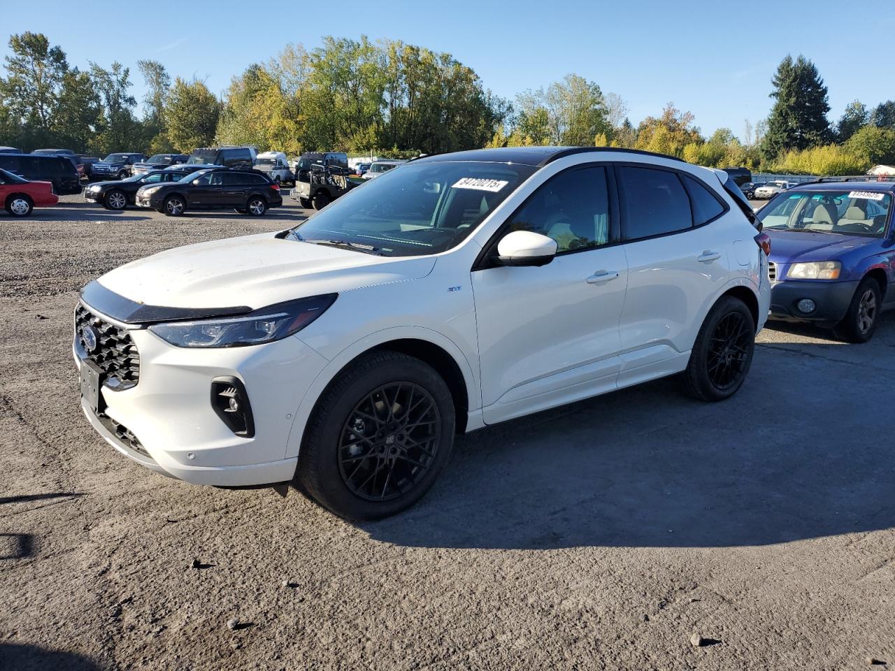 Ford Escape St Line Elite Image 1
