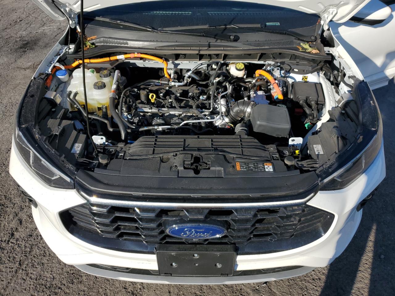 Ford Escape St Line Elite Image 9