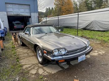  Salvage Jaguar Xjs