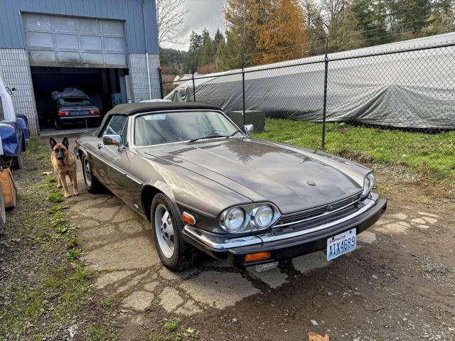  Salvage Jaguar Xjs