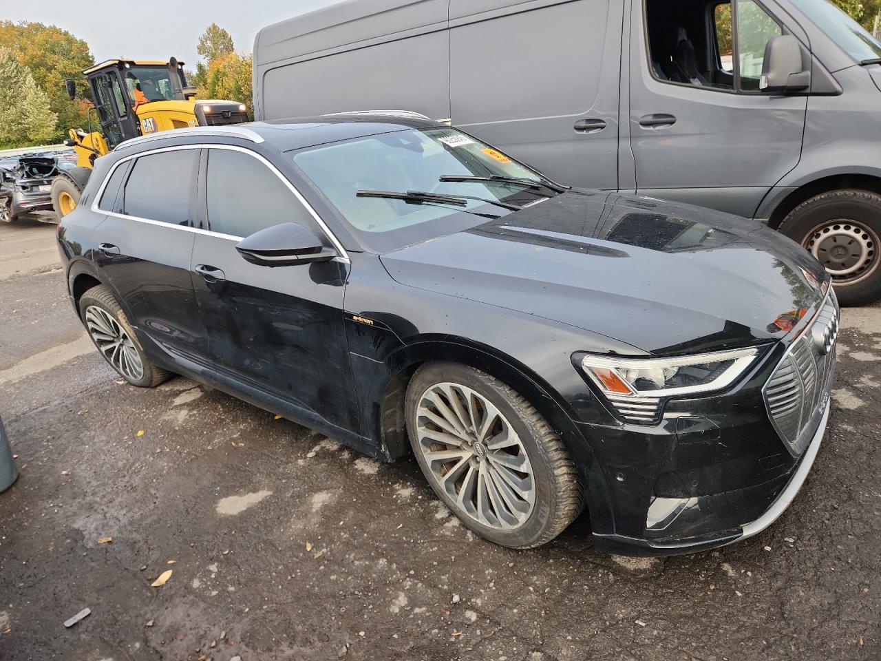 Audi e-tron Prestige Image 8