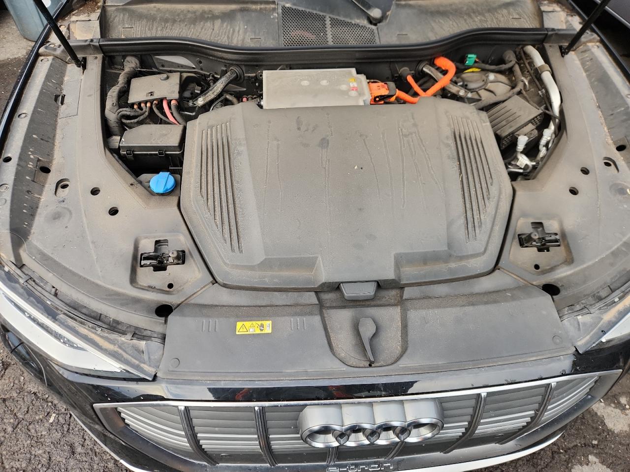 Audi e-tron Prestige Image 10