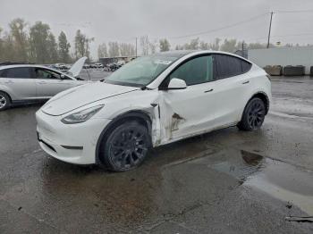  Salvage Tesla Model Y