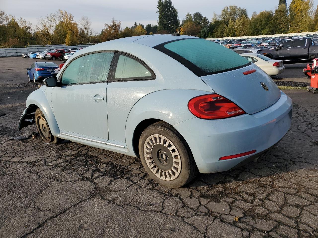 Volkswagen Beetle Image 8