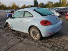 Volkswagen Beetle Image 8