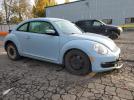 Volkswagen Beetle Image 4