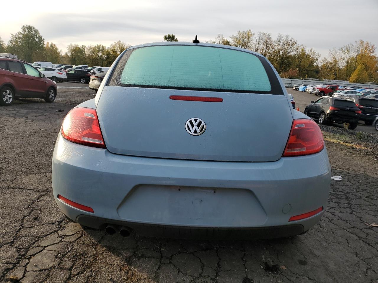 Volkswagen Beetle Image 2