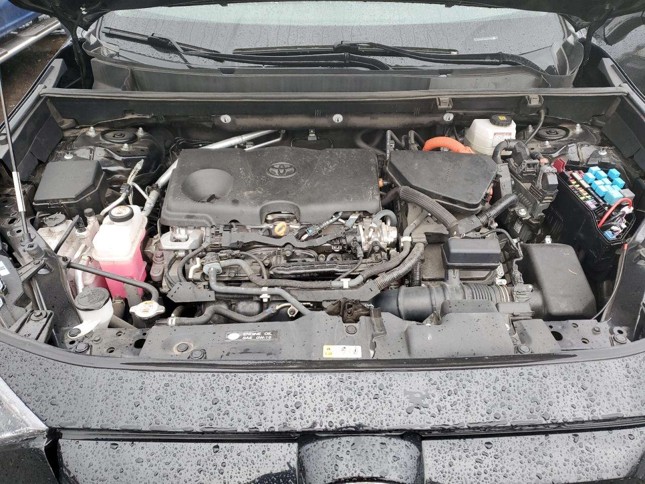 Toyota RAV4 Le Image 10