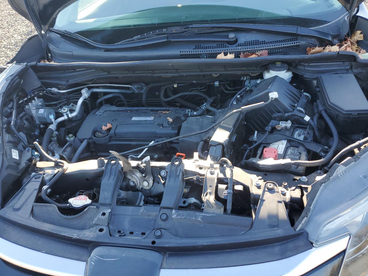 Honda Crv Ex Image 12