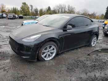  Salvage Tesla Model Y