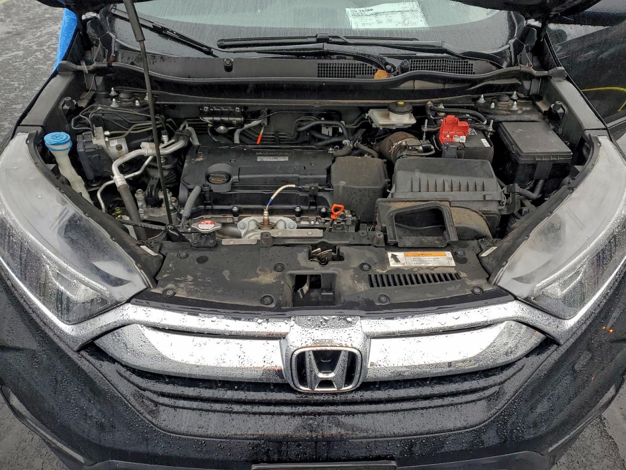 Honda Crv Lx Image 3