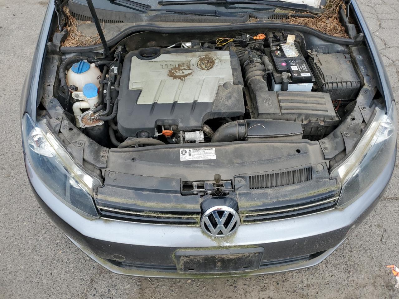 Volkswagen Jetta Tdi Image 7
