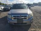 Ford Escape Xlt Image 7